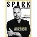 Spark: Unlock & Unblock Your Shine Potential - Paperback