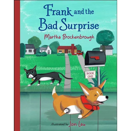 Frank and the Bad Surprise: Book 1 - Hardcover