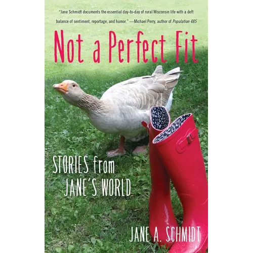 Not a Perfect Fit: Stories from Jane's World - Paperback