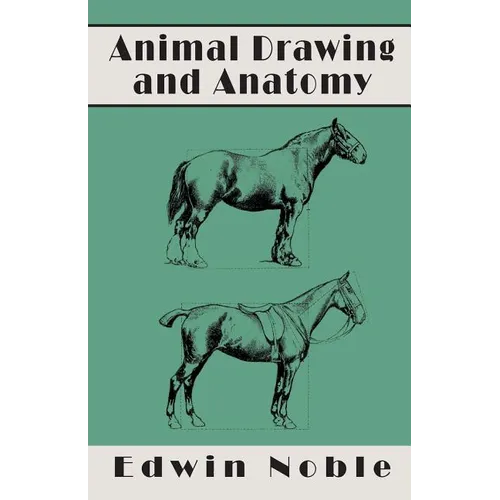 Animal Drawing and Anatomy - Paperback