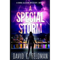 A Special Storm: Crime fiction Novels - Paperback
