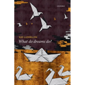 What Do Dreams Do? - Hardcover