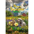 Mina's Backyard - The Big Sky - Paperback