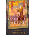 The Last Light in Delhi - Hardcover