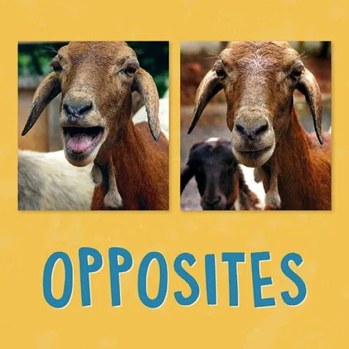 Opposites: English Edition - Paperback