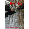 Redwing: Poems by Marvin Orbach - Paperback