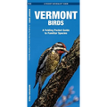 Vermont Birds: An Introduction to Familiar Species