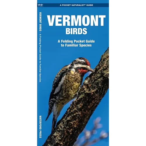 Vermont Birds: An Introduction to Familiar Species