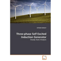 Three-phase Self Excited Induction Generator - Paperback