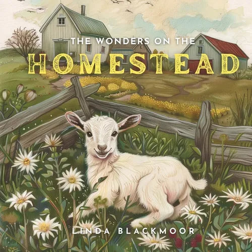 The Wonders on the Homestead - Paperback