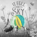 It Fell from the Sky - Hardcover