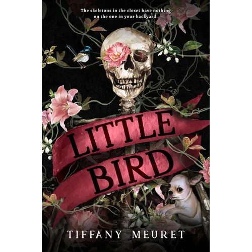 Little Bird - Paperback