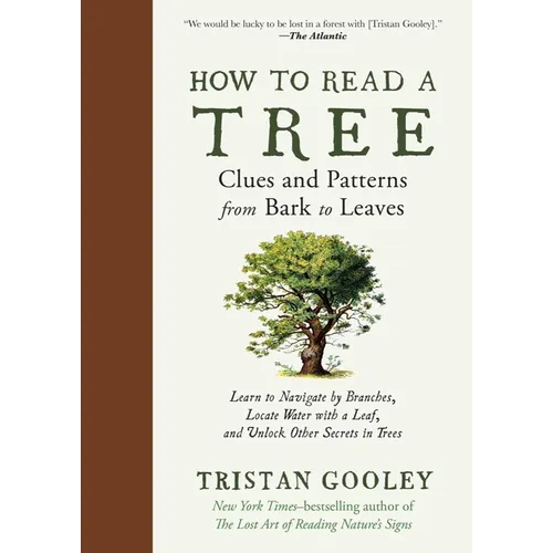 How to Read a Tree: Clues and Patterns from Bark to Leaves - Hardcover