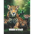 Wildlife of Brazil: coloring book - Paperback