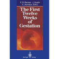 The First Twelve Weeks of Gestation - Paperback