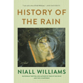History of the Rain - Paperback