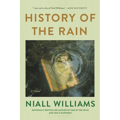 History of the Rain - Paperback