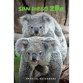San Diego Zoo Official Guidebook - Paperback