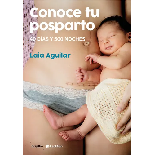 Conoce Tu Posparto: 40 Días Y 500 Noches / Understanding Your Postpartum Stage: 40 Days and 500 Nights - Paperback