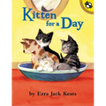 Kitten for a Day - Paperback
