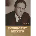 Insurgent Mexico