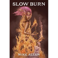 Slow Burn - Paperback