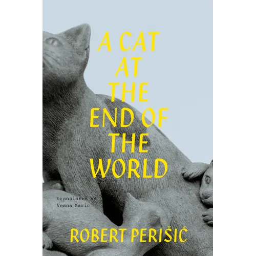 A Cat at the End of the World - Paperback