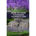 How to Grow Lavender Flower and Care: A Step by Step Guide - Paperback