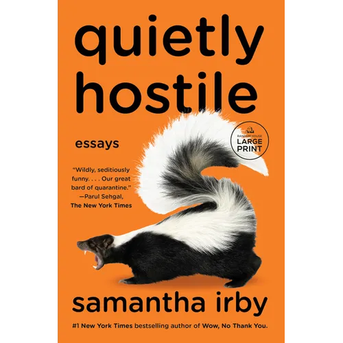Quietly Hostile: Essays - Paperback