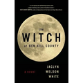 The Witch of Ben Hill County - Paperback