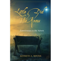Little Did We Know: Eyewitnesses to the Advent - Paperback