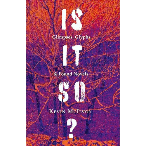Is It So?: Glimpses, Glyphs, & Found Novels - Paperback