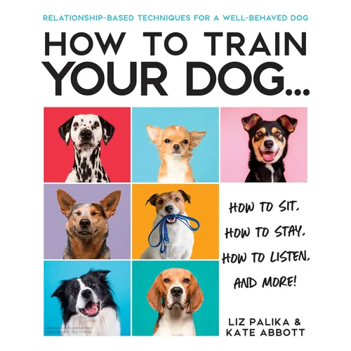 How to Train Your Dog: A Relationship-Based Approach for a Well-Behaved Dog - Paperback