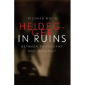 Heidegger in Ruins: Between Philosophy and Ideology - Hardcover