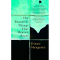 The Beautiful Things That Heaven Bears - Paperback