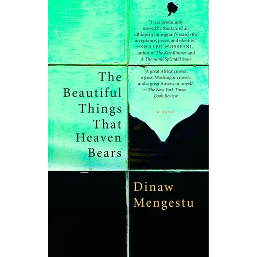 The Beautiful Things That Heaven Bears - Paperback