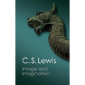 Image and Imagination - Paperback