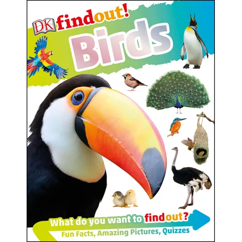 Dkfindout! Birds - Paperback