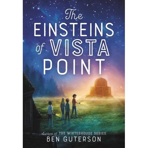 The Einsteins of Vista Point - Paperback