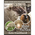 Sheep: Photos and Fun Facts for Kids - Paperback