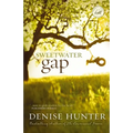 The Sweetwater Gap - Paperback