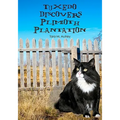 Tuxedo Discovers Plimoth Plantation