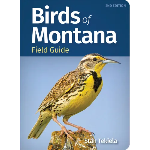 Birds of Montana Field Guide - Paperback