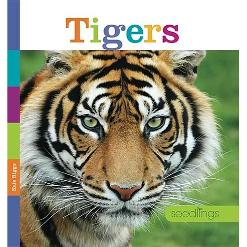Tigers - Paperback