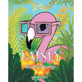 Lainey The Pink Flamingo - Paperback