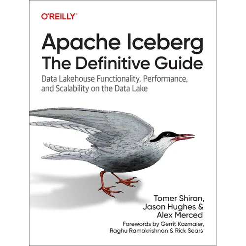 Apache Iceberg: The Definitive Guide: Data Lakehouse Functionality, Performance, and Scalability on the Data Lake - Paperback