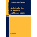 An Introduction to Analysis on Wiener Space - Paperback