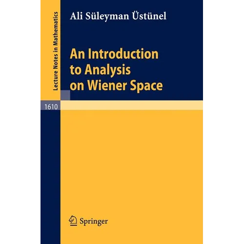 An Introduction to Analysis on Wiener Space - Paperback