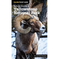 Nature Guide to Yellowstone National Park - Paperback