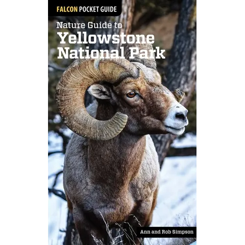 Nature Guide to Yellowstone National Park - Paperback